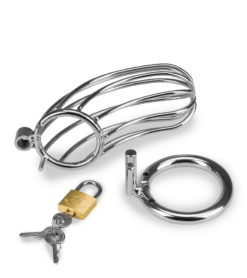 Cage De Chasteté Pénis Sentence 23 Cage De Chasteté Pénis Sentence -Magasin De Jouets Sexuels cage de chastete penis sentence 13