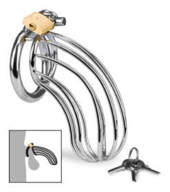 Cage De Chasteté Pénis Sentence