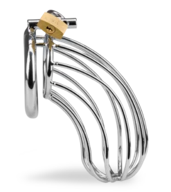 Cage De Chasteté Pénis Sentence 16 Cage De Chasteté Pénis Sentence -Magasin De Jouets Sexuels cage de chastete penis sentence 6