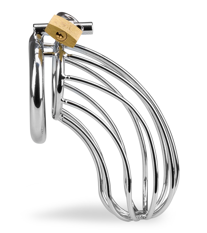 Cage De Chasteté Pénis Sentence 6 Cage De Chasteté Pénis Sentence – Image 4