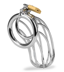 Cage De Chasteté Pénis Sentence 18 Cage De Chasteté Pénis Sentence -Magasin De Jouets Sexuels cage de chastete penis sentence 8