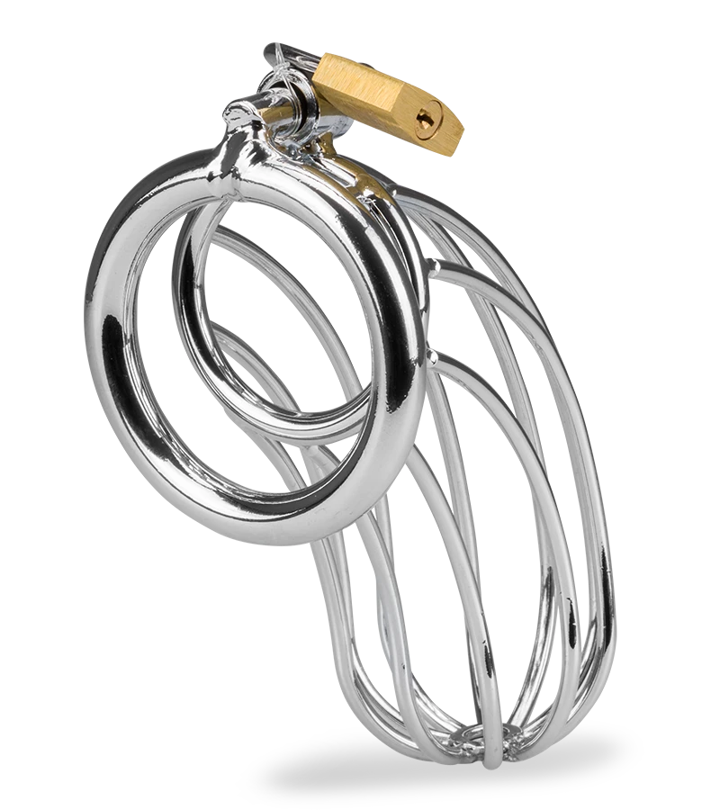 Cage De Chasteté Pénis Sentence 8 Cage De Chasteté Pénis Sentence – Image 6