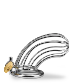 Cage De Chasteté Pénis Sentence 19 Cage De Chasteté Pénis Sentence -Magasin De Jouets Sexuels cage de chastete penis sentence 9