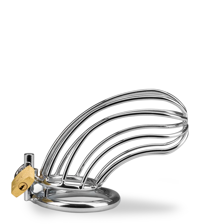 Cage De Chasteté Pénis Sentence 9 Cage De Chasteté Pénis Sentence – Image 7