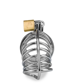 Cage De Chasteté Pénis Snaily 13 Cage De Chasteté Pénis Snaily -Magasin De Jouets Sexuels cage de chastete penis snaily 5