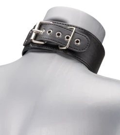 Collier BDSM Similicuir 1 Anneau + Laisse -Magasin De Jouets Sexuels collier bdsm similicuir 1 anneau laisse 5