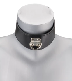 Collier Cuir BDSM Et Laisse Chaine Avec Cadenas -Magasin De Jouets Sexuels collier cuir bdsm et laisse chaine avec cadenas 4