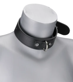 Collier Cuir Et Laisse Cuir BDSM -Magasin De Jouets Sexuels collier cuir et laisse cuir bdsm 4
