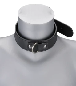 Collier Cuir Et Laisse Cuir BDSM -Magasin De Jouets Sexuels collier cuir et laisse cuir bdsm 5