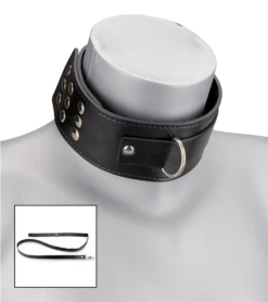 Collier Et Laisse En Cuir BDSM