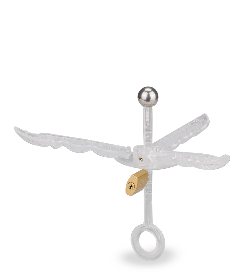 Ecarteur Anal Avec Cadenas Pusher 6 Ecarteur Anal Avec Cadenas Pusher – Image 4