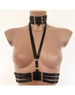 Ensemble Top Harnais Et Collier Ras-De-Cou En Brides Extensibles