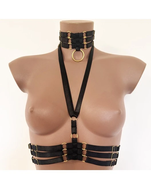 Ensemble Top Harnais Et Collier Ras-De-Cou En Brides Extensibles 3 Ensemble Top Harnais Et Collier Ras-De-Cou En Brides Extensibles