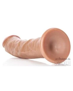Gode Réaliste Ventouse Curved RealRock 20 X 4.6cm Latino 12 Gode Réaliste Ventouse Curved RealRock 20 X 4.6cm Latino -Magasin De Jouets Sexuels gode realiste ventouse curved realrock 20 x 46cm latino 4
