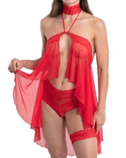 Jarretière Petit Noeud - Collection Exclusive Paradise Boutik 6 Jarretière Petit Noeud - Collection Exclusive Paradise Boutik -Magasin De Jouets Sexuels jarretiere petit noeud collection exclusive paradise boutik 1