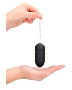 Shots Toys Oeuf Vibrant Big Egg Noir 10 Shots Toys Oeuf Vibrant Big Egg Noir -Magasin De Jouets Sexuels oeuf vibrant big egg noir 2