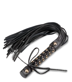 Petit Martinet à Laçage