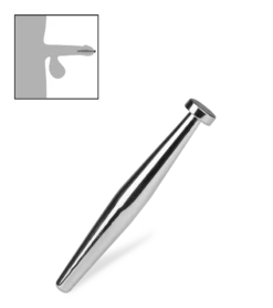 Plug D'urètre Cassini