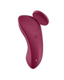 Stimulateur De Clitoris Sexy Secret - Panty Vibrator Satisfyer -Magasin De Jouets Sexuels stimulateur de clitoris sexy secret panty vibrator satisfyer 2
