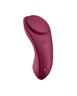 Stimulateur De Clitoris Sexy Secret - Panty Vibrator Satisfyer