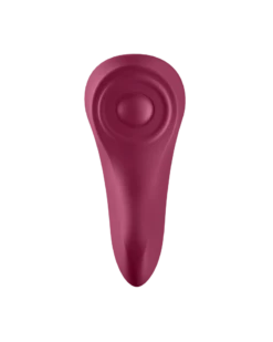 Stimulateur De Clitoris Sexy Secret - Panty Vibrator Satisfyer -Magasin De Jouets Sexuels stimulateur de clitoris sexy secret panty vibrator satisfyer 5