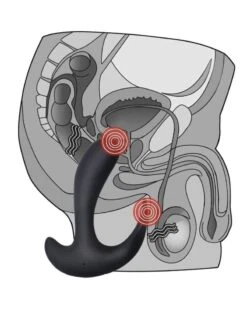 Stimulateur De Prostate Vibrant Ijoy Prober 10 X 3 Cm -Magasin De Jouets Sexuels stimulateur de prostate vibrant ijoy prober 10 x 3 cm 3