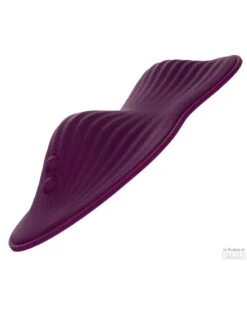 CalExotics Stimulateur Dual Rider 12 Vibrations -Magasin De Jouets Sexuels stimulateur dual rider 12 vibrations 10