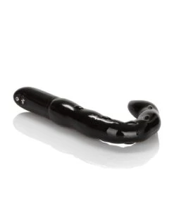 CalExotics Stimulateur Prostate Vibrant Scorpio 8 X 2.5 Cm Noir -Magasin De Jouets Sexuels stimulateur prostate vibrant scorpio 8 x 25 cm noir 4